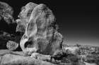 Joshua Tree National Park- California Art Print